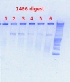 Thumbnail for version as of 16:39, 19 December 2012