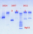 Thumbnail for version as of 16:12, 20 February 2013