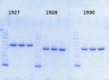 Thumbnail for version as of 15:28, 27 November 2013