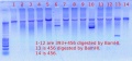 Thumbnail for version as of 17:29, 18 November 2011
