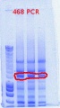 Thumbnail for version as of 09:48, 19 January 2012
