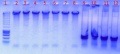 Thumbnail for version as of 10:59, 26 July 2011