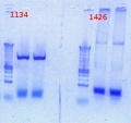 Thumbnail for version as of 15:12, 14 November 2012
