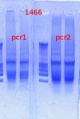Thumbnail for version as of 14:18, 15 January 2013