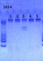 Thumbnail for version as of 12:05, 20 March 2013