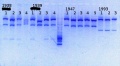 Thumbnail for version as of 11:53, 24 January 2014