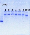 Thumbnail for version as of 17:33, 6 March 2014