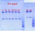 Thumbnail for version as of 10:20, 20 May 2013