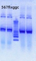 Thumbnail for version as of 14:00, 16 May 2013