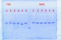 Thumbnail for version as of 14:30, 9 April 2014
