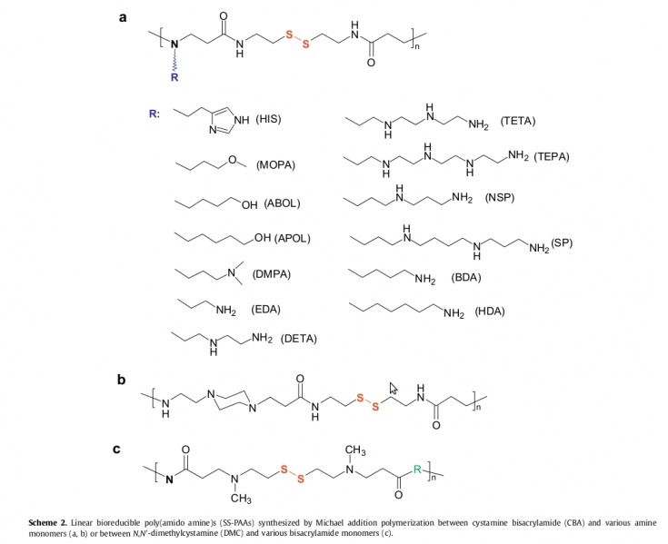 File:Ss-pAA.jpg