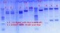Thumbnail for version as of 10:43, 8 November 2012