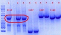 Thumbnail for version as of 14:02, 7 June 2012
