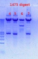 Thumbnail for version as of 11:43, 11 December 2012