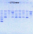Thumbnail for version as of 15:43, 18 July 2013