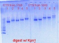 Thumbnail for version as of 15:32, 30 June 2013