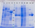 Thumbnail for version as of 17:31, 6 November 2014