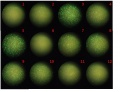 Thumbnail for version as of 17:35, 18 November 2011