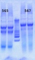 Thumbnail for version as of 16:45, 26 April 2013