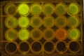 Thumbnail for version as of 11:29, 23 October 2014