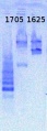 Thumbnail for version as of 13:34, 23 May 2013