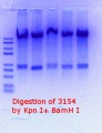 Thumbnail for version as of 20:52, 23 February 2018