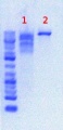 Thumbnail for version as of 17:12, 14 June 2012