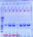 Thumbnail for version as of 11:26, 20 July 2012