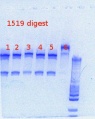 Thumbnail for version as of 16:49, 24 January 2013