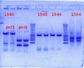 Thumbnail for version as of 10:28, 22 January 2013