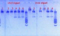 Thumbnail for version as of 13:51, 17 January 2013