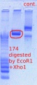 Thumbnail for version as of 13:33, 2 April 2012