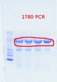 Thumbnail for version as of 16:09, 18 July 2013