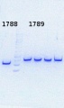 Thumbnail for version as of 12:52, 26 July 2013