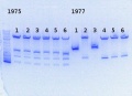 Thumbnail for version as of 10:53, 11 December 2013