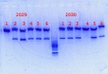 Thumbnail for version as of 15:03, 7 February 2014