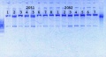 Thumbnail for version as of 15:37, 9 July 2014