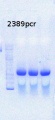 Thumbnail for version as of 14:23, 26 December 2014