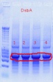 Thumbnail for version as of 16:32, 4 October 2011