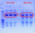 Thumbnail for version as of 14:34, 4 January 2012