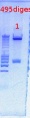 Thumbnail for version as of 13:25, 20 April 2012