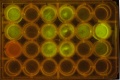 Thumbnail for version as of 12:32, 18 October 2014