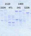 Thumbnail for version as of 11:30, 10 June 2014