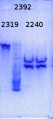Thumbnail for version as of 14:03, 8 January 2015