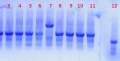 Thumbnail for version as of 14:47, 10 August 2011