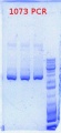 Thumbnail for version as of 10:33, 1 May 2012