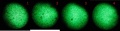 Thumbnail for version as of 12:34, 22 November 2011