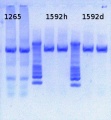 Thumbnail for version as of 14:16, 8 April 2013