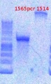 Thumbnail for version as of 17:23, 3 January 2013