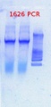 Thumbnail for version as of 14:34, 27 February 2013